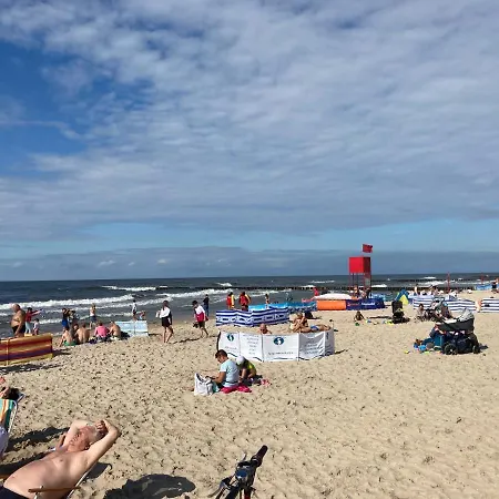 Wrzos Дзивновек